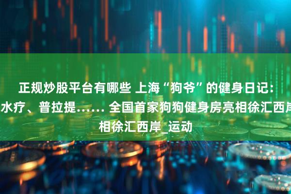 正规炒股平台有哪些 上海“狗爷”的健身日记：撸铁、水疗、普拉提…… 全国首家狗狗健身房亮相徐汇西岸_运动